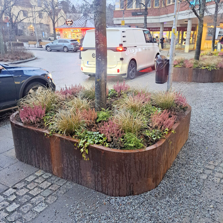 renovering av stadsträd med vinterplantering