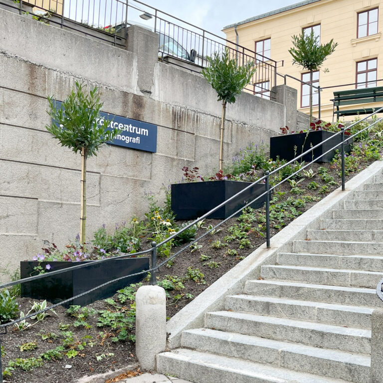 Planteringskärl i slänt