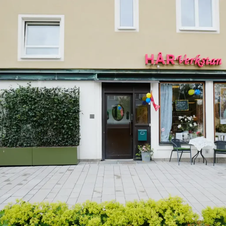 planteringskärl med murgröna