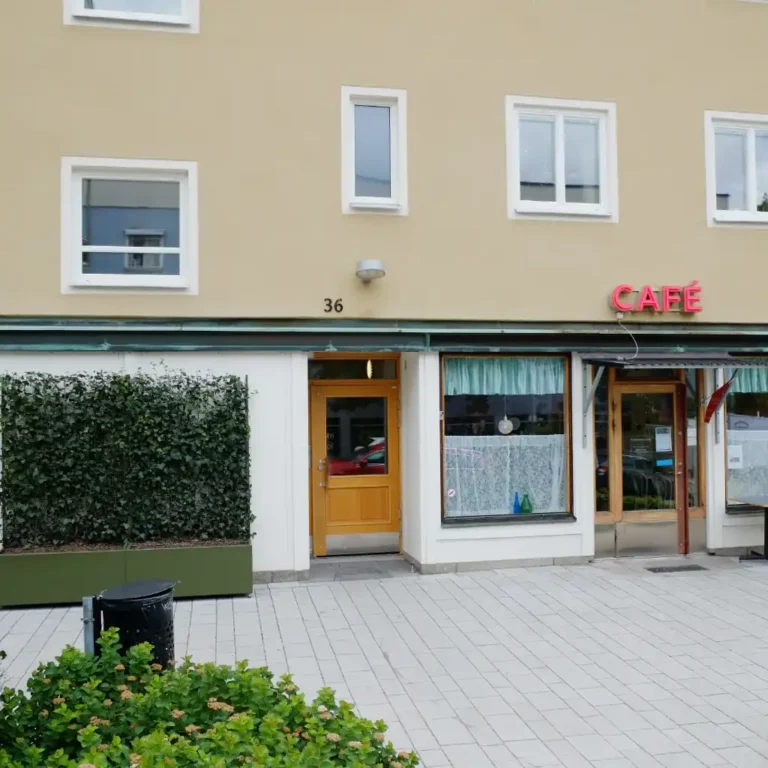 planteringskärl med murgröna